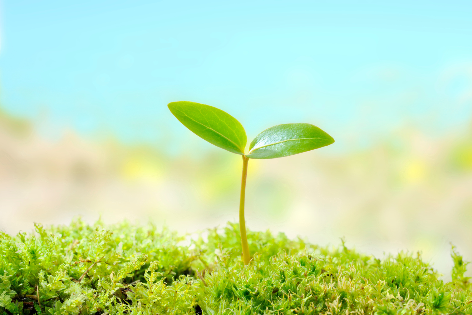 「地域を代表する企業100選」
選出企業が投資